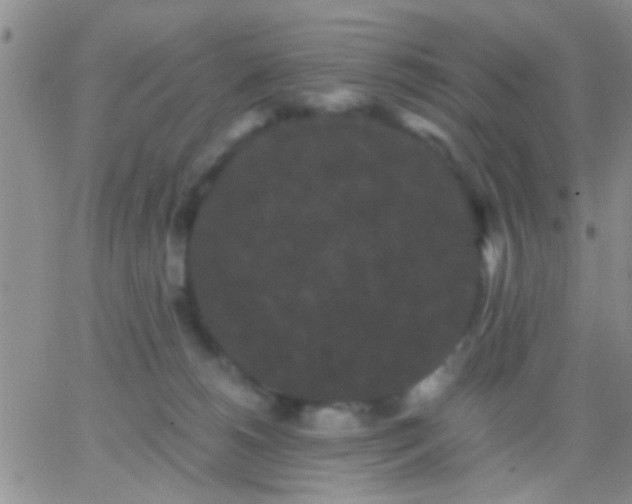 X0000066120180200603171803