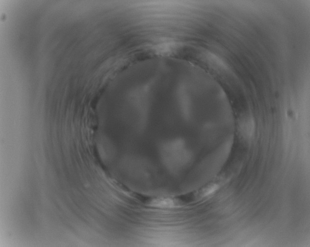 X0000066120181200603171803