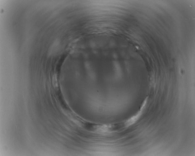 X0000066120182200603171803