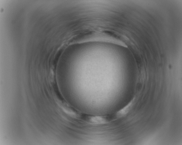 X0000066120183200603171803