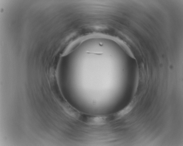 X0000066120184200603171803