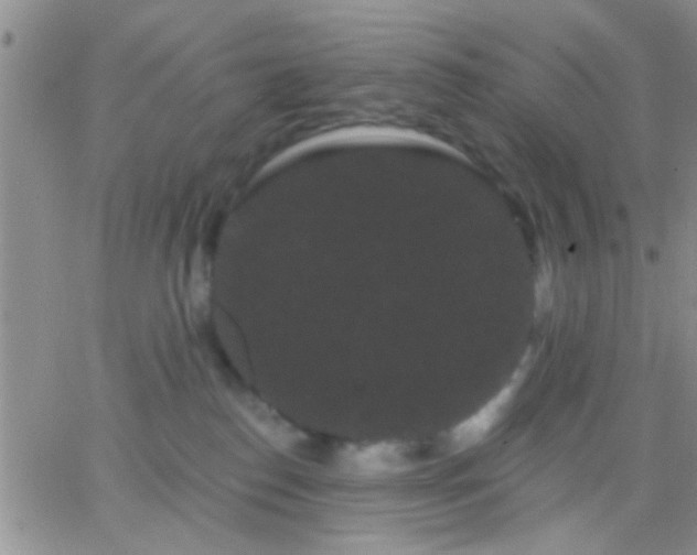 X0000066120186200603171803