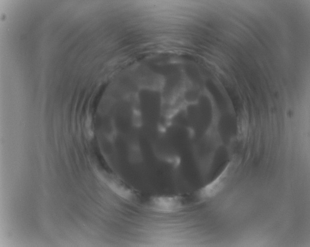 X0000066120187200603171803