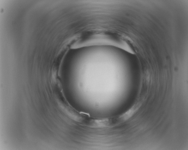 X0000066120188200603171803