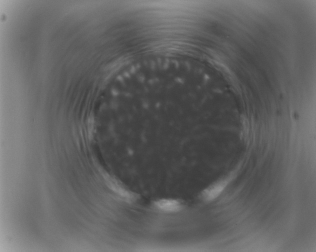 X0000066120189200603171803