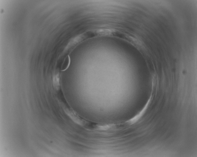 X0000066120190200603171803