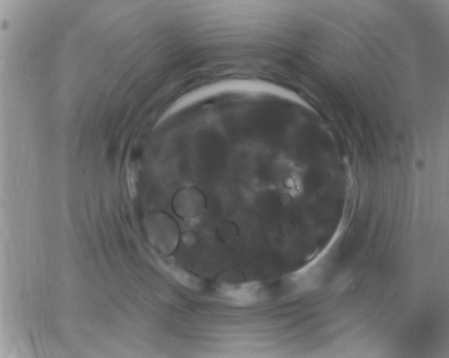 X0000066120191200603171803