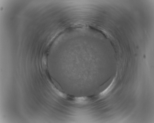 X0000066120192200603171803