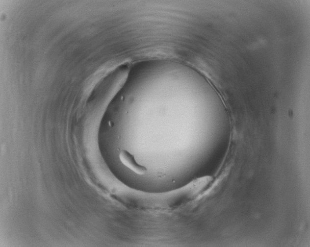 X0000066120193200603171802