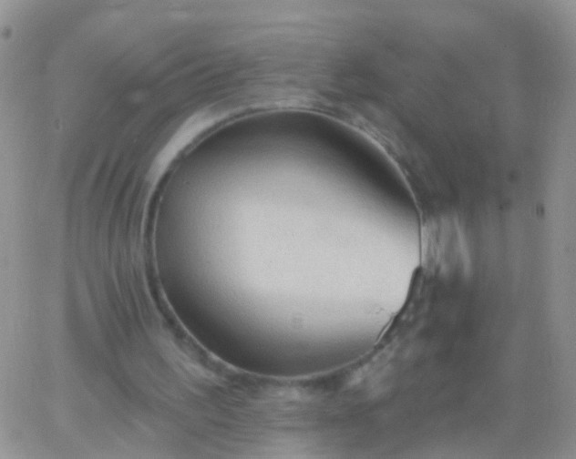 X0000066120195200603171802