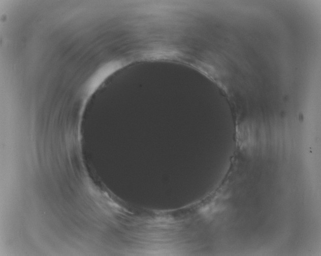 X0000066120196200603171802