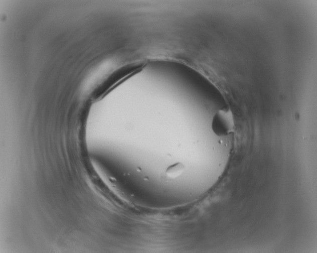 X0000066120197200603171802