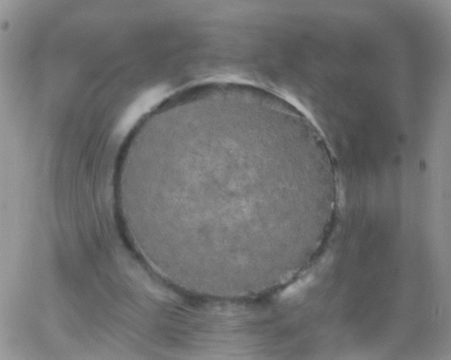 X0000066120199200603171802