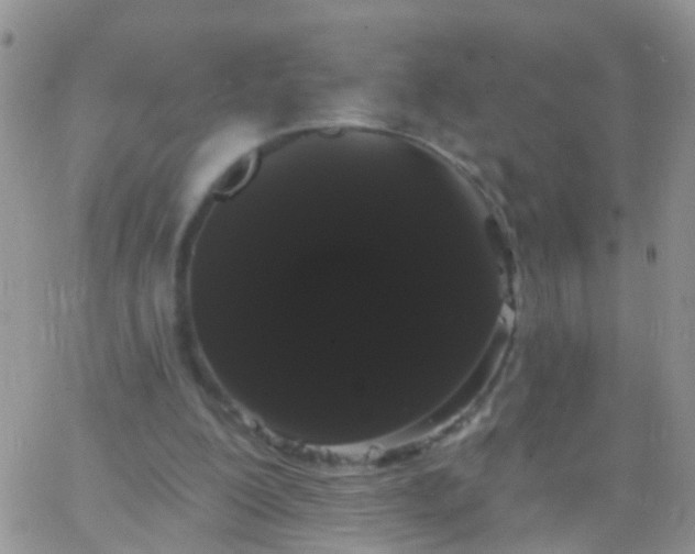 X0000066120200200603171802