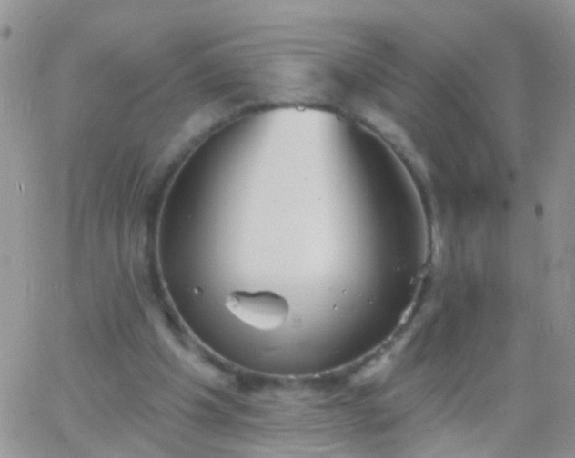 X0000066120201200603171802