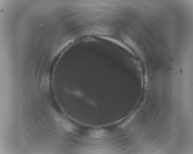 X0000066120202200603171802