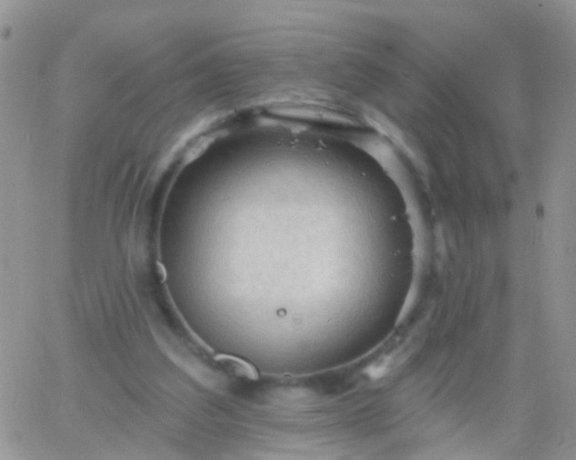 X0000066120203200603171802