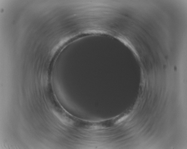 X0000066120204200603171802