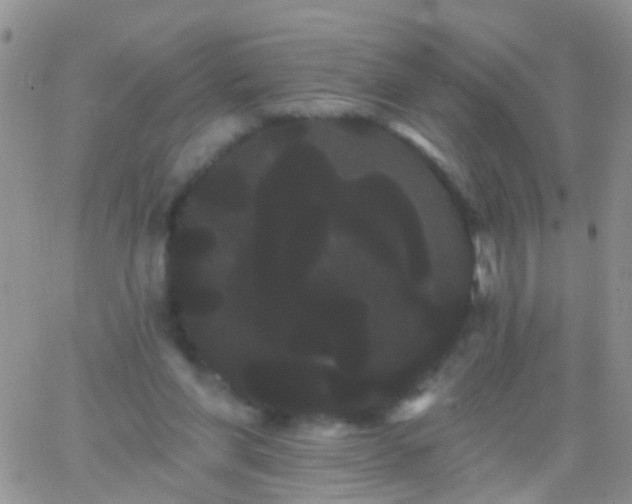 X0000066120206200603171802