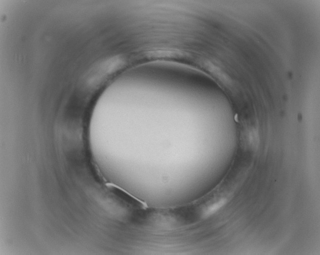 X0000066120207200603171802