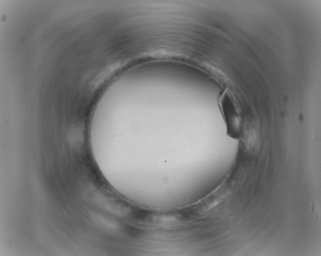 X0000066120208200603171802