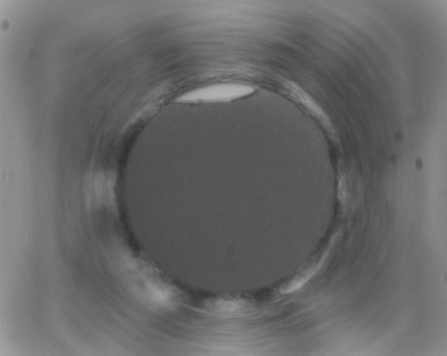 X0000066120209200603171802