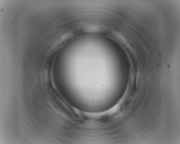 X0000066120211200603171802