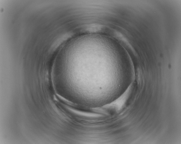 X0000066120212200603171802