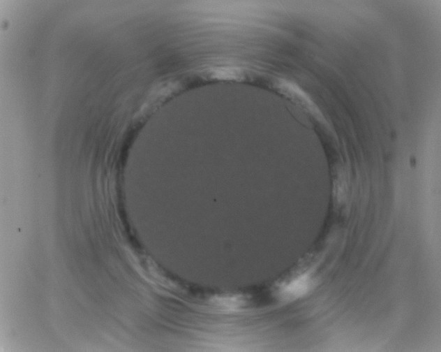 X0000066120213200603171802