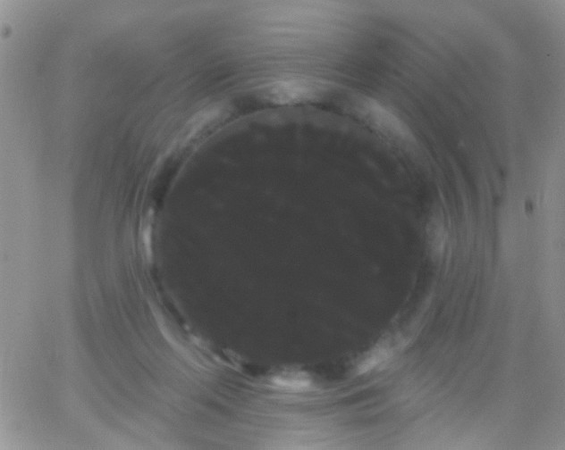 X0000066120214200603171802