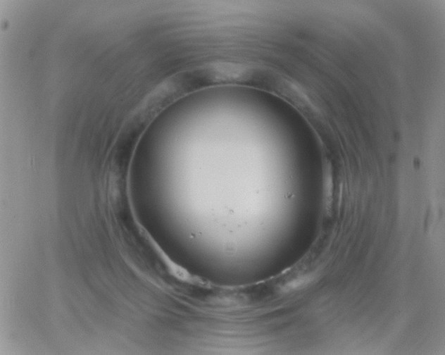 X0000066120215200603171802