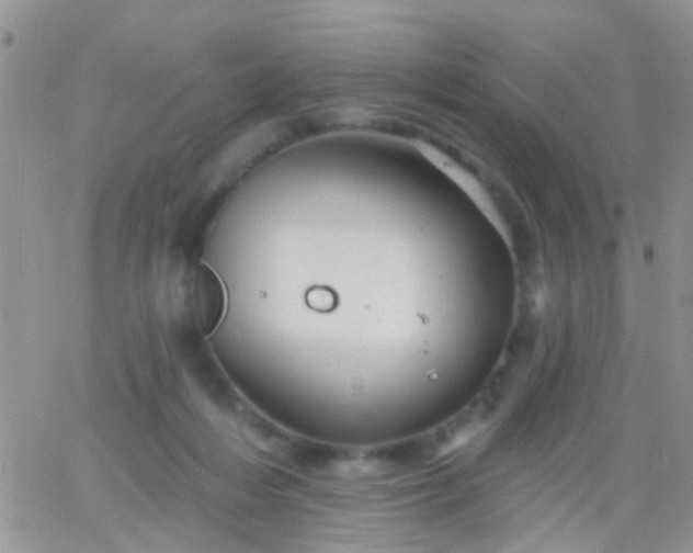 X0000066120216200603171802