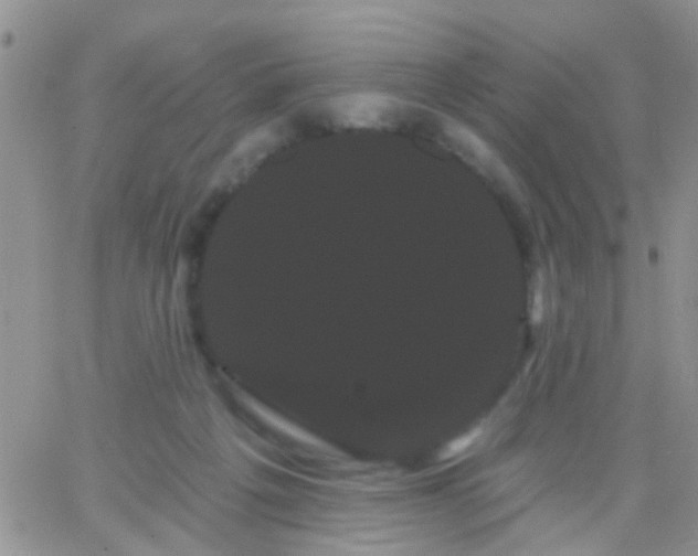 X0000066120217200603171802