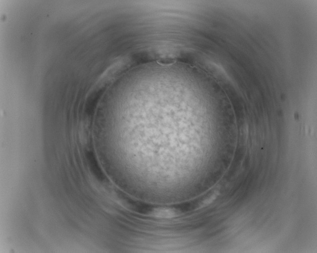 X0000066120218200603171802