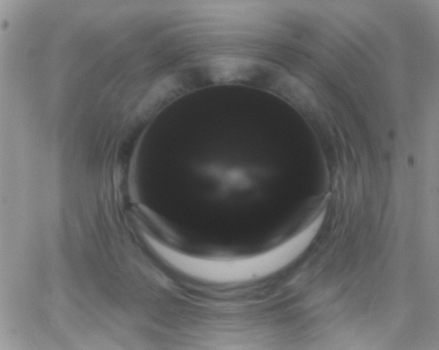 X0000066120219200603171802