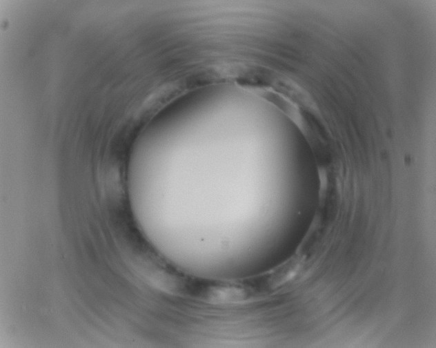 X0000066120220200603171802