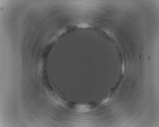 X0000066120221200603171802