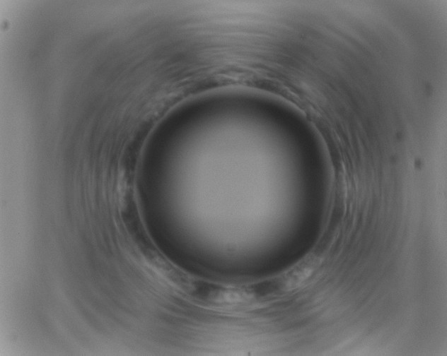 X0000066120223200603171802