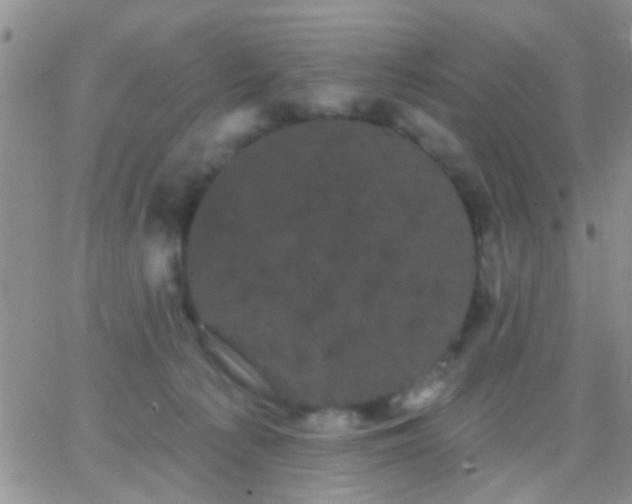 X0000066120225200603171802