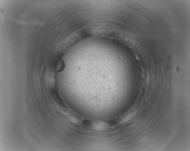 X0000066120226200603171802