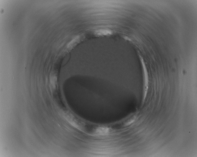 X0000066120227200603171802