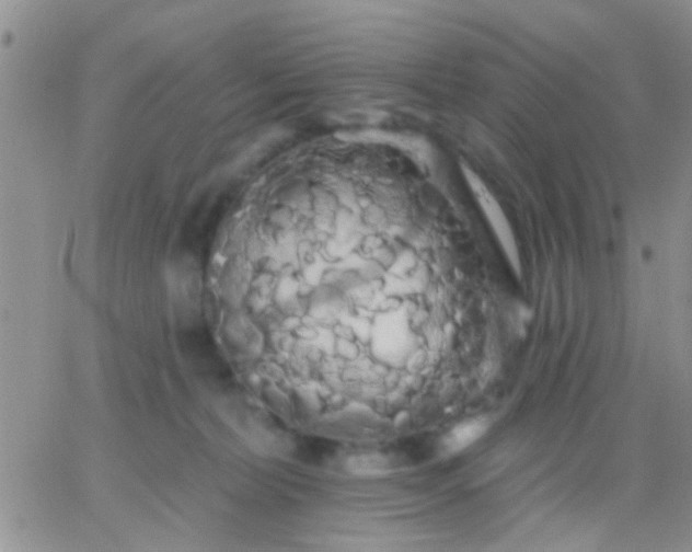 X0000066120228200603171802