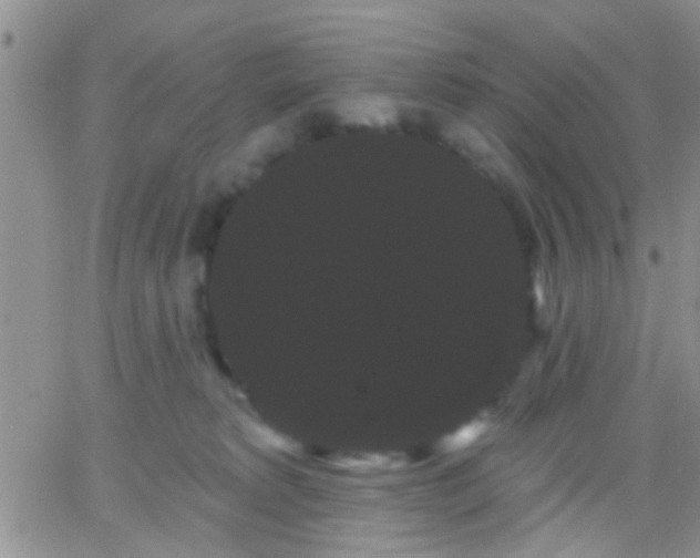 X0000066120229200603171802