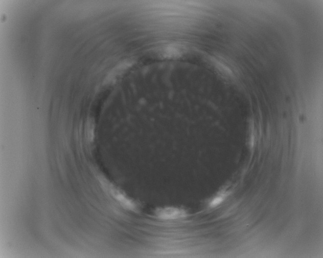 X0000066120230200603171802