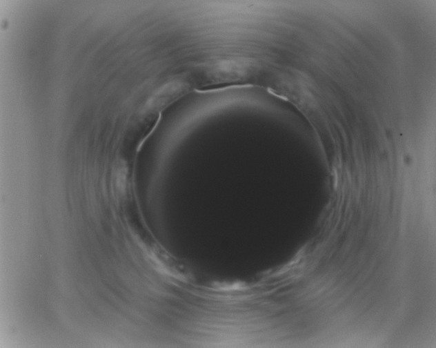 X0000066120231200603171802