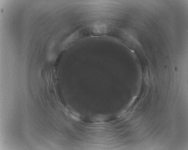 X0000066120233200603171802