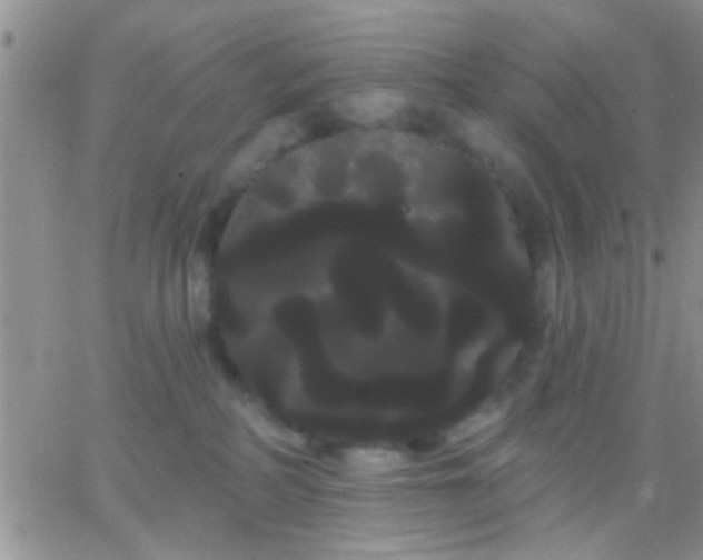 X0000066120234200603171802