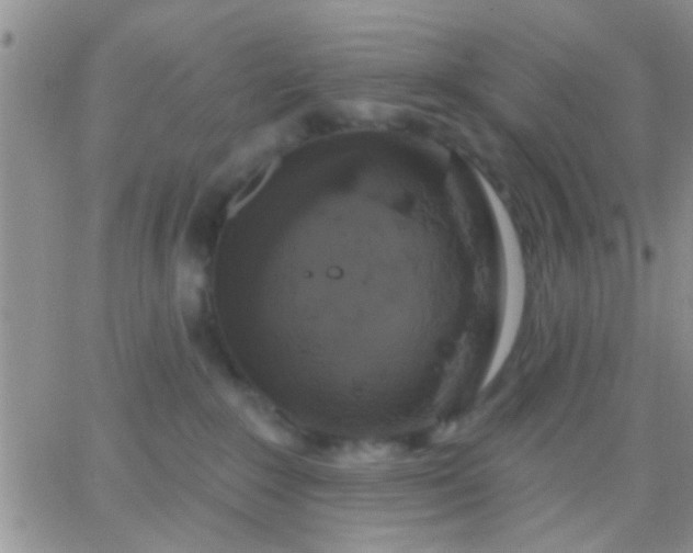 X0000066120235200603171802