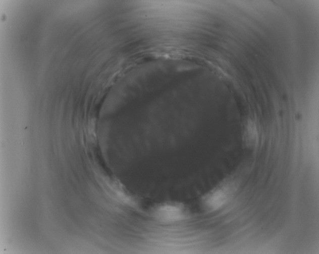 X0000066120236200603171802