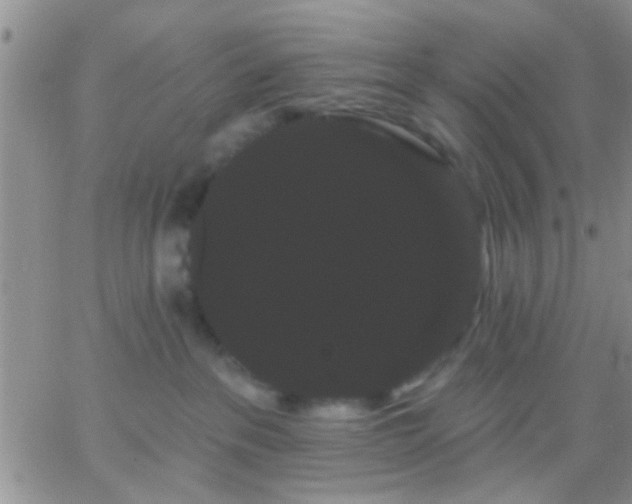 X0000066120237200603171802